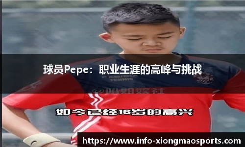 熊猫体育